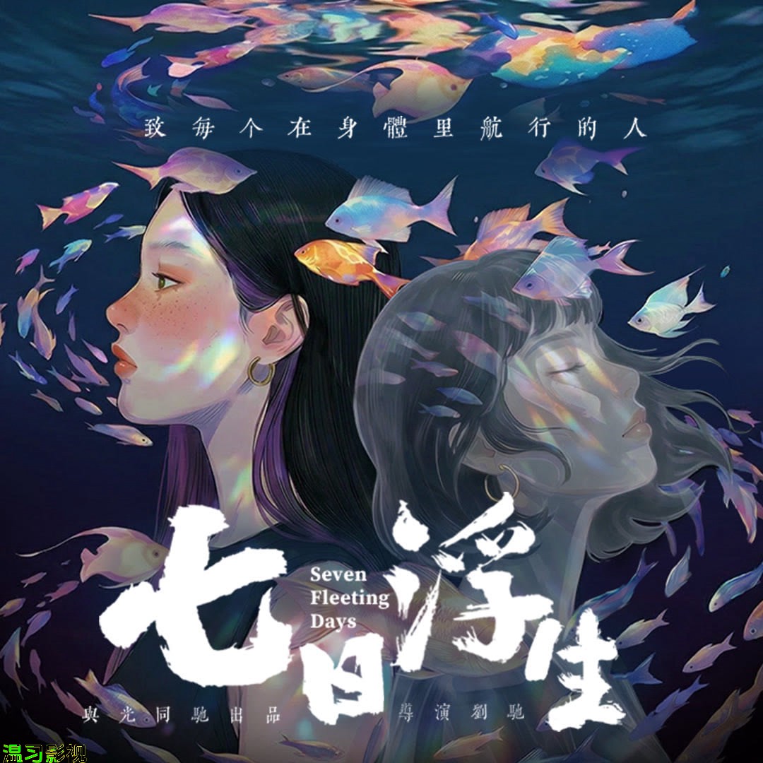 七日浮生